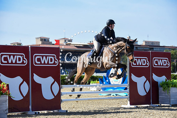 Blue_Contender_(205)_20230202_6289