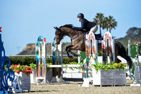 Blue_Contender_(205)_20230202_6290