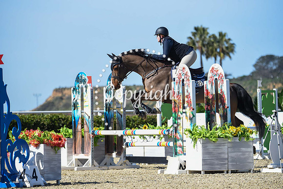 Blue_Contender_(205)_20230202_6290