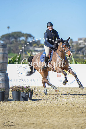 Blue_Contender_(205)_20230202_6291