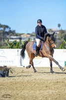 Blue_Contender_(205)_20230202_6292