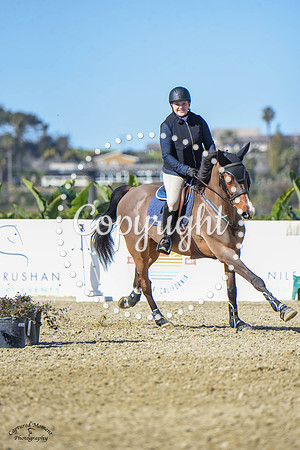 Blue_Contender_(205)_20230202_6292