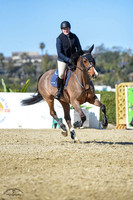 Blue_Contender_(205)_20230202_6294