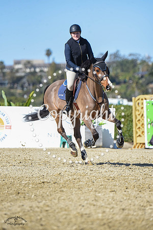 Blue_Contender_(205)_20230202_6294