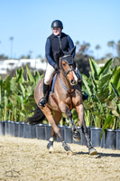 Blue_Contender_(205)_20230202_6298