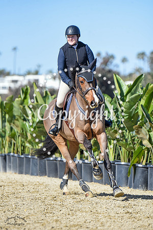 Blue_Contender_(205)_20230202_6298