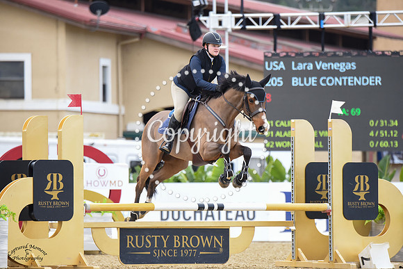 Blue_Contender_(205)_20230203_7710