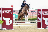 Blue_Contender_(205)_20230203_7713