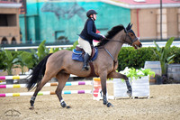 Blue_Contender_(205)_20230203_7714