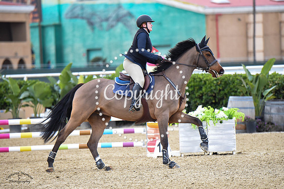 Blue_Contender_(205)_20230203_7714