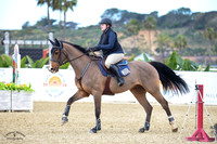 Blue_Contender_(205)_20230203_7715