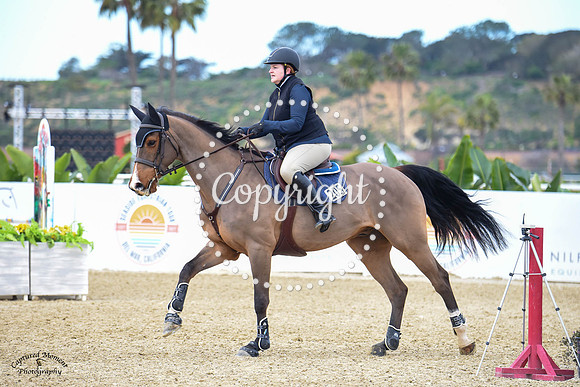 Blue_Contender_(205)_20230203_7715