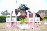 Blue_Contender_(205)_20230203_7716