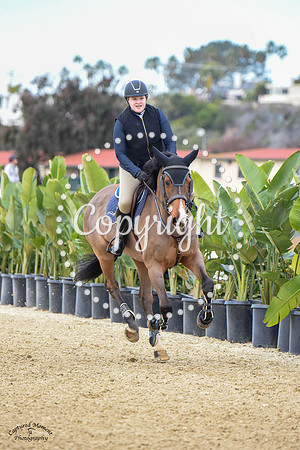 Blue_Contender_(205)_20230203_7718