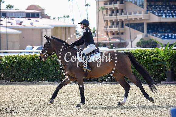 Chalamet_(582)_20230202_6557