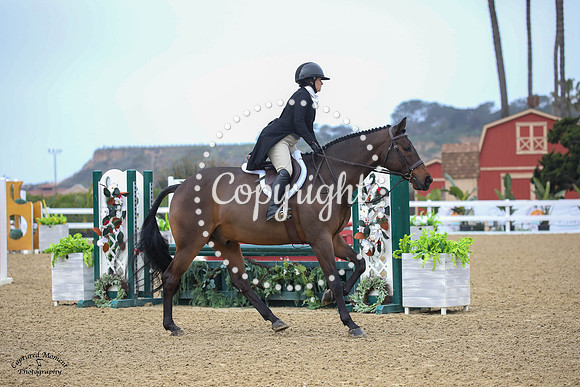 Fustentusch_N_(828)_20230205_6645