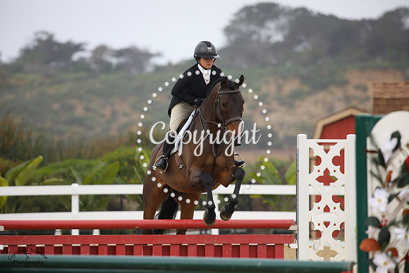 Fustentusch_N_(828)_20230205_6646