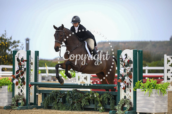 Fustentusch_N_(828)_20230205_6647