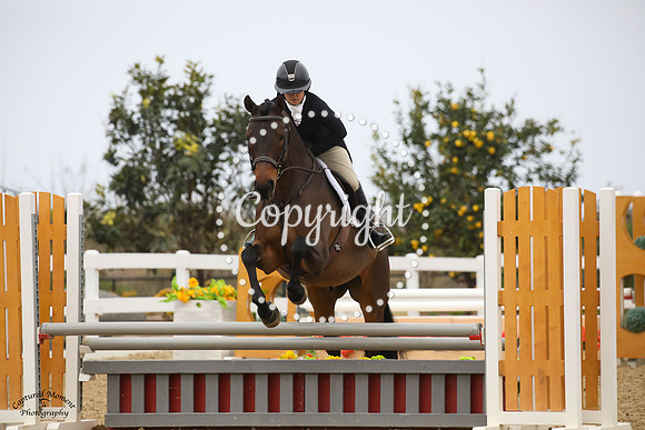 Fustentusch_N_(828)_20230205_6650