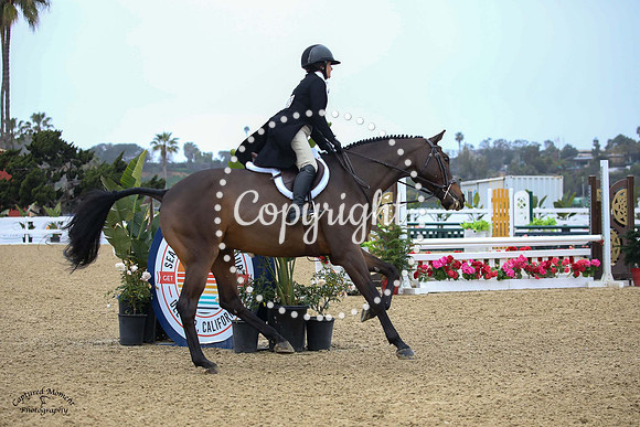 Fustentusch_N_(828)_20230205_6651