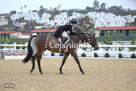 Fustentusch_N_(828)_20230205_6659