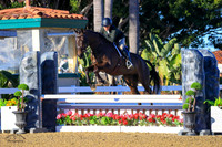 Hawk_(765)_20230201_0782