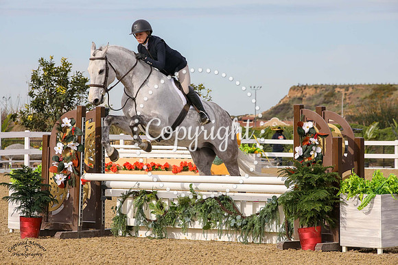 Homer_Vdl_(568)_20230203_4201