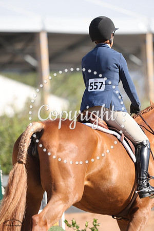 NACY0135