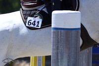 DCM_3629