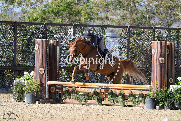 Dartagnan_(908)_20250424_4712