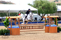 _ENE3029