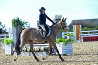 Cloud_Dancer_(494)_20230212_2304