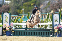 Cloud_Dancer_(494)_20230212_2343