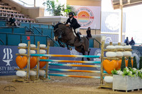 Harley_D_(237)_20230209_0144