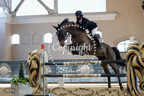 Harley_D_(237)_20230209_1519