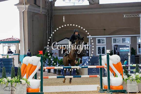 Leroy_Gnz_(880)_20230210_3789