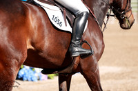IMGL2402