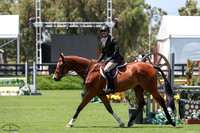 Rein_Dance_(153)_20250515_2140