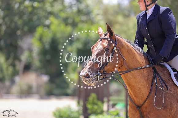 Spotlight_(500)_20250718_4591