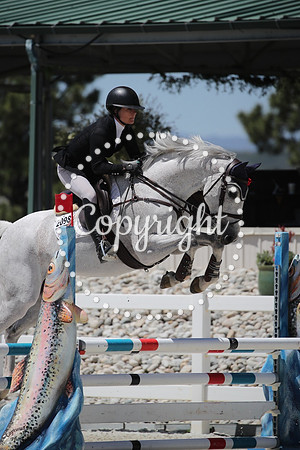 CDH_3353