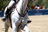 MJC_8564