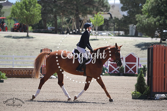 CDH_0730