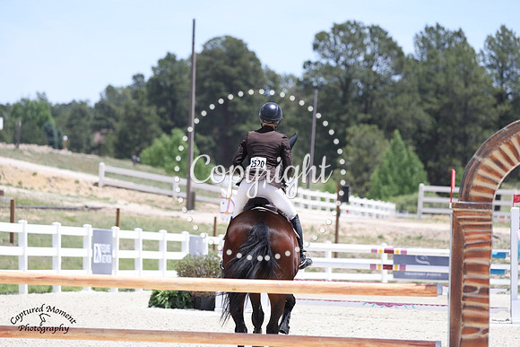 CDH_3919