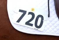 DCM_2016