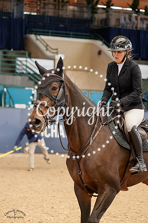 Dillandra_(1195)_20230223_1546