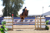SCT_3384
