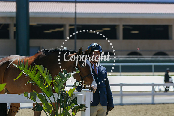 Candid_20230302_2092