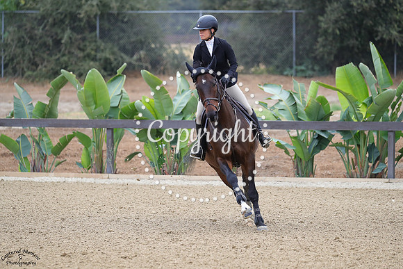 Kai_(206)_20241018_1475