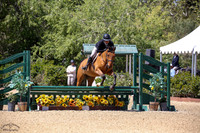 Aslan_(887)_20250410_0852