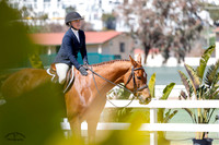 Cascado_(1387)_20230310_1675